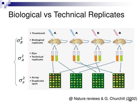 technical repeat vs biological.